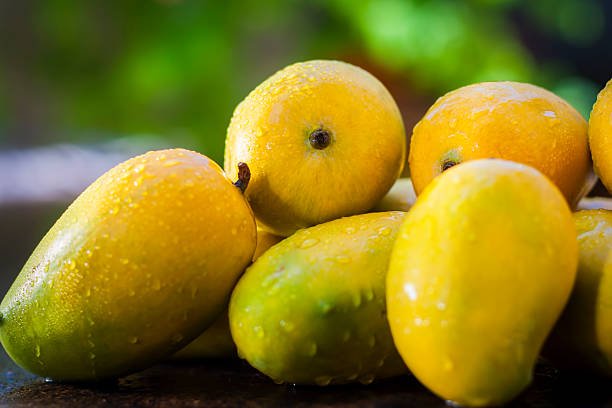 Popular Kesar Mangoes.with light green  backround, isolated, selective focus, shallow depth of field, concept of food and taste